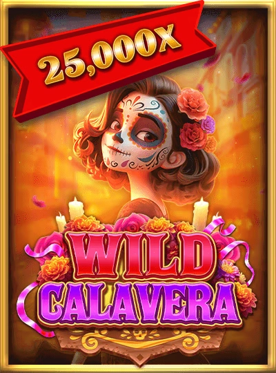Live game show casino cover
